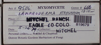 Image Associated With the Occurence